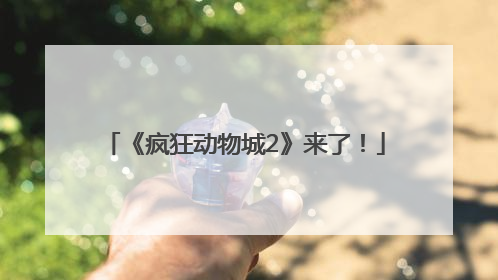 《疯狂动物城2》来了！