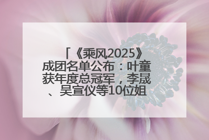 《乘风2025》成团名单公布：叶童获年度总冠军，李晟、吴宣仪等10位姐姐成功成团，陈德容获年度高光人物