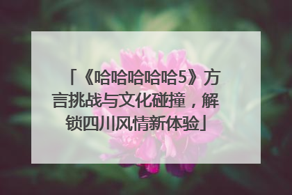 《哈哈哈哈哈5》方言挑战与文化碰撞，解锁四川风情新体验