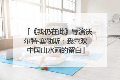 《我仍在此》导演沃尔特·塞勒斯：我喜欢中国山水画的留白