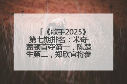 《歌手2025》第七期排名：米奇·盖顿首夺第一，陈楚生第二，郑欣宜将参加下一轮张榜赛