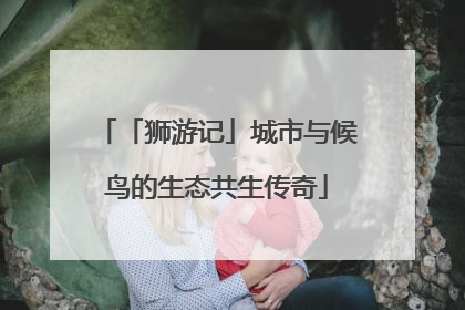 「狮游记」城市与候鸟的生态共生传奇