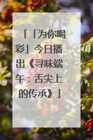 「为你喝彩」今日播出《寻味端午：舌尖上的传承》