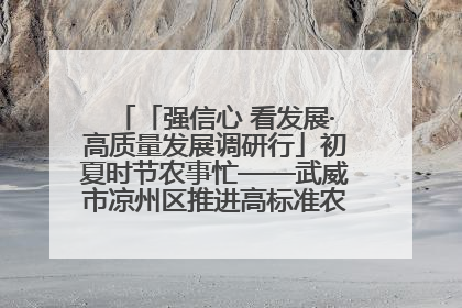 「强信心 看发展·高质量发展调研行」初夏时节农事忙——武威市凉州区推进高标准农田建设见闻