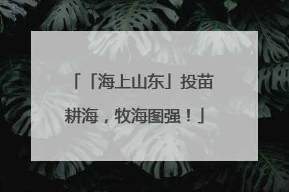「海上山东」投苗耕海，牧海图强！