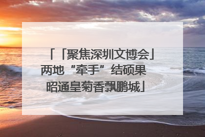 「聚焦深圳文博会」两地“牵手”结硕果 昭通皇菊香飘鹏城