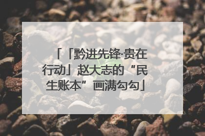 「黔进先锋·贵在行动」赵大志的“民生账本”画满勾勾
