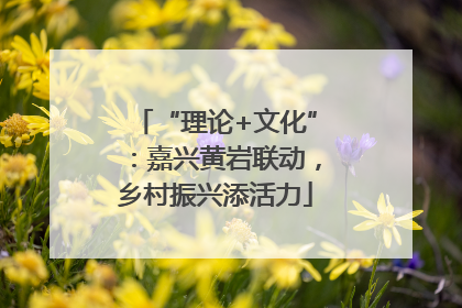 “理论+文化”：嘉兴黄岩联动，乡村振兴添活力
