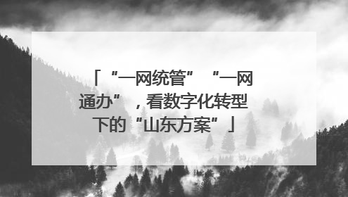 “一网统管”“一网通办”，看数字化转型下的“山东方案”