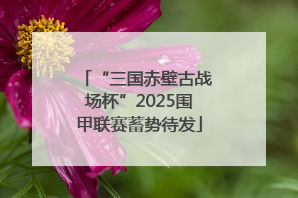 “三国赤壁古战场杯”2025围甲联赛蓄势待发