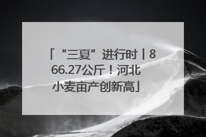 “三夏”进行时丨866.27公斤！河北小麦亩产创新高