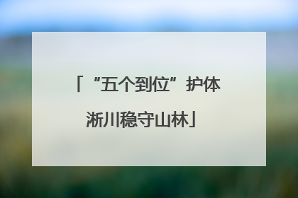 “五个到位”护体 淅川稳守山林