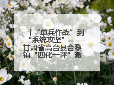“单兵作战”到“系统攻坚”——甘肃省高台县合黎镇“四化一评”激活农村党员管理新引擎
