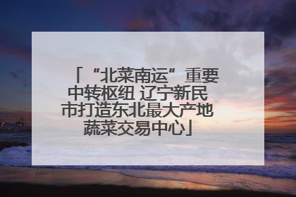 “北菜南运”重要中转枢纽 辽宁新民市打造东北最大产地蔬菜交易中心