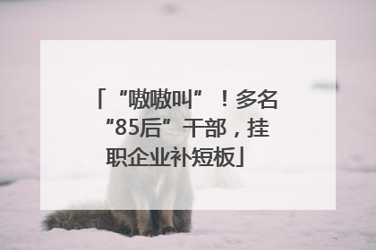“嗷嗷叫”！多名“85后”干部，挂职企业补短板
