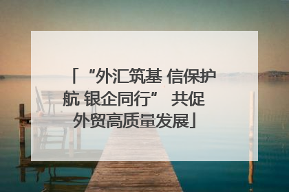 “外汇筑基 信保护航 银企同行” 共促外贸高质量发展