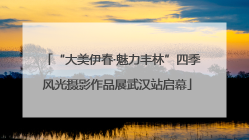 “大美伊春·魅力丰林”四季风光摄影作品展武汉站启幕