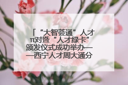 “大智荟通”人才π对暨“人才绿卡”颁发仪式成功举办——西宁人才周大通分会场亮点纷呈