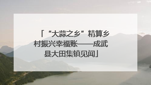 “大蒜之乡”精算乡村振兴幸福账——成武县大田集镇见闻