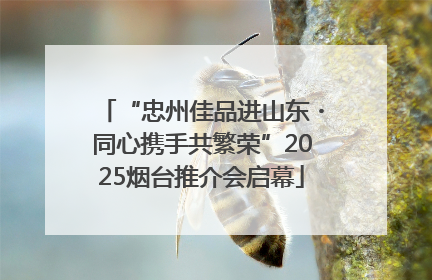“忠州佳品进山东・同心携手共繁荣”2025烟台推介会启幕
