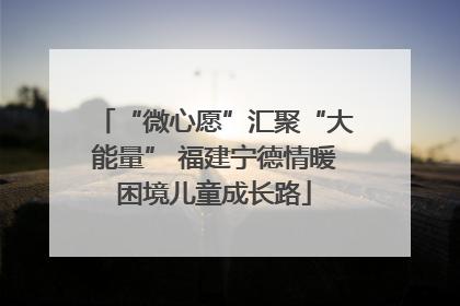 “微心愿”汇聚“大能量” 福建宁德情暖困境儿童成长路