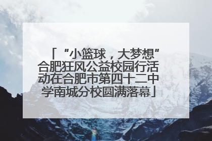 “小篮球，大梦想”合肥狂风公益校园行活动在合肥市第四十二中学南城分校圆满落幕
