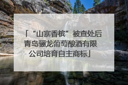 “山寨香槟”被查处后 青岛骊龙葡萄酿酒有限公司培育自主商标