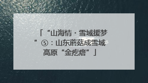 “山海情・雪域援梦”⑤：山东蘑菇成雪域高原“金疙瘩”