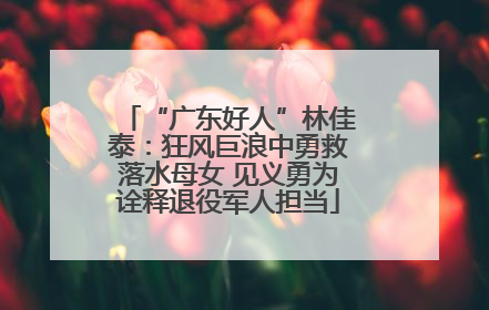 “广东好人”林佳泰：狂风巨浪中勇救落水母女 见义勇为诠释退役军人担当