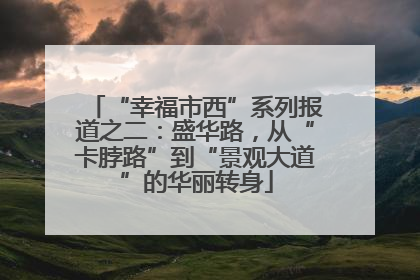 “幸福市西”系列报道之二：盛华路，从“卡脖路”到“景观大道”的华丽转身