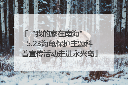 “我的家在南海”——5.23海龟保护主题科普宣传活动走进永兴岛