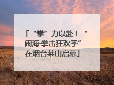 “拳”力以赴！“闹海·拳击狂欢季”在烟台莱山启幕