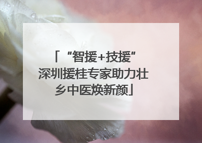 “智援+技援” 深圳援桂专家助力壮乡中医焕新颜