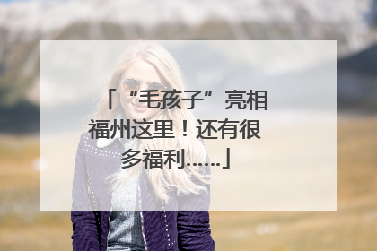 “毛孩子”亮相福州这里！还有很多福利……
