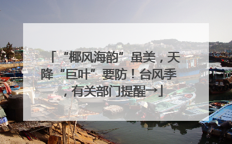 “椰风海韵”虽美，天降“巨叶”要防！台风季，有关部门提醒→