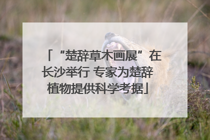 “楚辞草木画展”在长沙举行 专家为楚辞植物提供科学考据