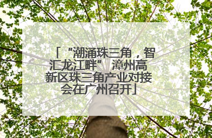 “潮涌珠三角，智汇龙江畔” 漳州高新区珠三角产业对接会在广州召开
