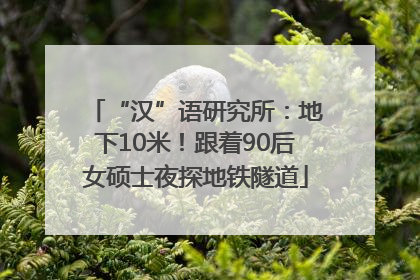 “汉”语研究所：地下10米！跟着90后女硕士夜探地铁隧道