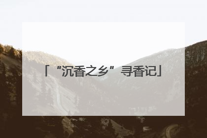“沉香之乡”寻香记