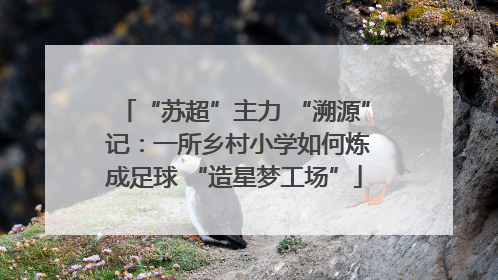“苏超”主力 “溯源” 记：一所乡村小学如何炼成足球 “造星梦工场”