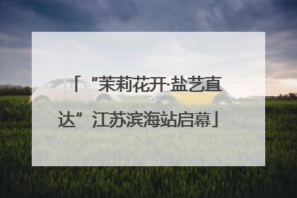 “茉莉花开·盐艺直达”江苏滨海站启幕