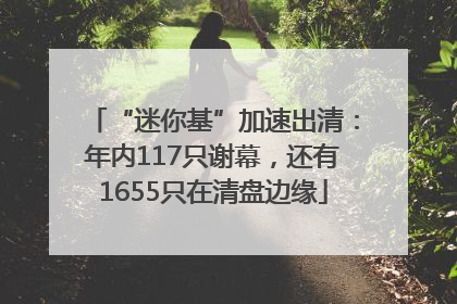 “迷你基”加速出清：年内117只谢幕，还有1655只在清盘边缘
