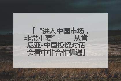 “进入中国市场，非常重要”——从肯尼亚-中国投资对话会看中非合作机遇
