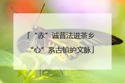 “赤”诚普法进茶乡 “心”系古镇护文脉