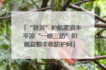 “铁翼”护航麦浪丰 平凉“一喷三防”织就夏粮丰收防护网