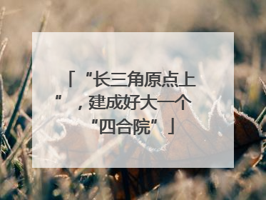 “长三角原点上”，建成好大一个“四合院”