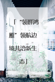 “领群鸿雁”领航边境共治新生态