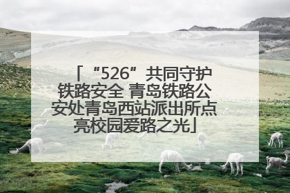 “526”共同守护铁路安全 青岛铁路公安处青岛西站派出所点亮校园爱路之光