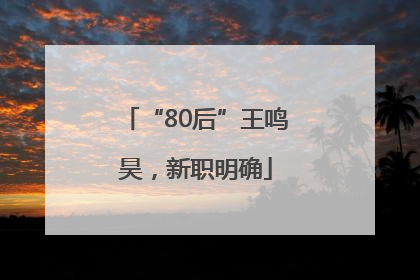 “80后”王鸣昊，新职明确