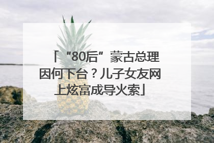 “80后”蒙古总理因何下台？儿子女友网上炫富成导火索